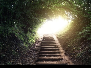 Selling: Next Steps in your life Reading! 