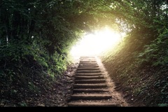 Selling: Next Steps in your life Reading! 