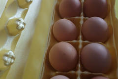 Selling with In-person Payment: Farm Fresh Eggs Missouri City