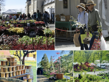 Actualité: FÊTE DES PLANTES