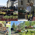 News: FÊTE DES PLANTES