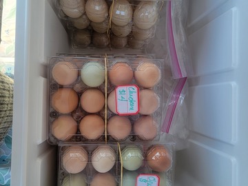 Selling with In-person Payment: Free Range unwashed eggs