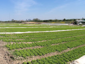 Actualité: Plaine d’avenir 78