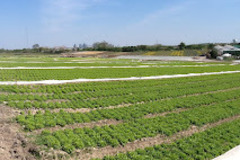 News: Plaine d’avenir 78