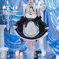 Selling with online payment: Rem re:0 Full set costume+styled wig