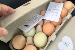 Selling with In-person Payment: Free Range Organically Fed Chicken Eggs