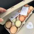 Selling with In-person Payment: Free Range Organically Fed Chicken Eggs