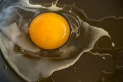 Selling with online payment: Freen Range, Organically Fed Duck Eggs