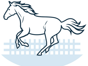 Offre: Recherche cheval lusitanien en 7e de pension