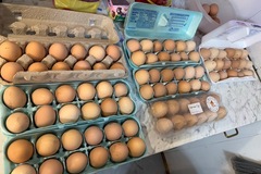 Selling with In-person Payment: Back yard chicken eggs