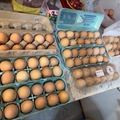 Selling with In-person Payment: Back yard chicken eggs