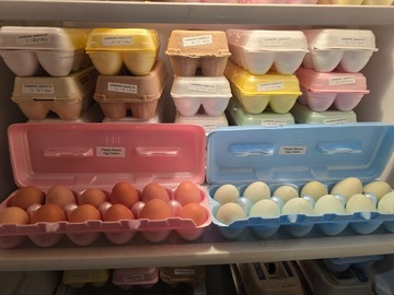 Selling with In-person Payment: Rhode Island Red and Ameraucana eggs