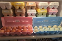 Selling with In-person Payment: Rhode Island Red and Ameraucana eggs