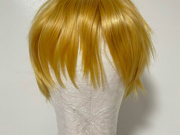 Selling with online payment: Arda wig - Caine Classic in Light Blonde - New