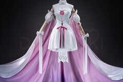 Selling with online payment: Columbina Costume Fes 2026 Dress