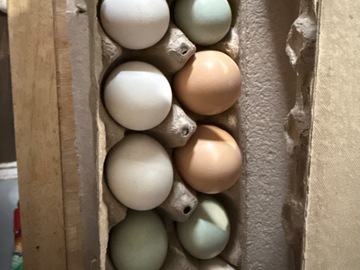 Selling with In-person Payment: Unwashed Fresh Farms Eggs