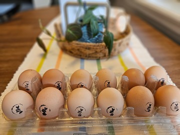 Selling with In-person Payment: Fresh ggs