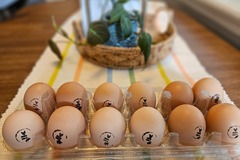 Selling with In-person Payment: Fresh ggs