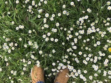 Offering: Entretien et aménagement de jardin 