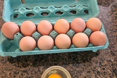 Selling with online payment: Fresh Free Range Chicken Eggs