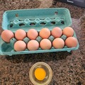 Selling with online payment: Fresh Free Range Chicken Eggs