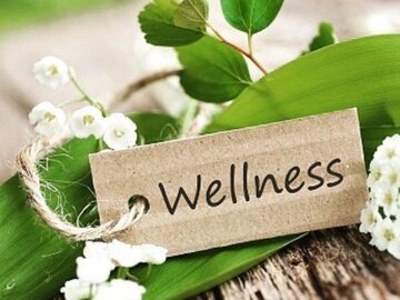 Wellness Session Single: Naturopathic & Holistic Wellness Session with Dr. Arthur