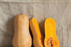 Vente: 6 plantules de courges