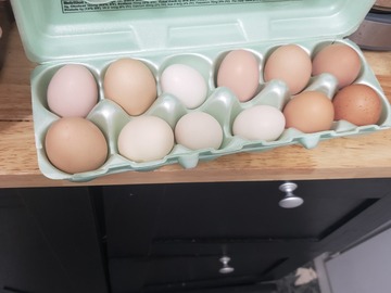 Selling with online payment: Variety fresh eggs 