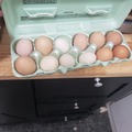Selling with online payment: Variety fresh eggs 