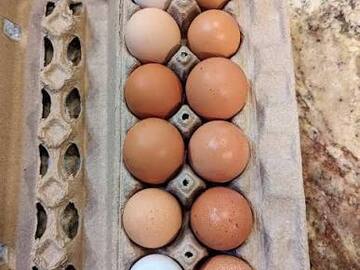 Selling with In-person Payment: Farm Eggs