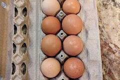 Selling with In-person Payment: Farm Eggs