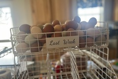 Selling with In-person Payment: Farm Fresh, Bloom On (Unwashed)