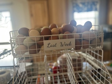 Selling with In-person Payment: Mixed Breed, High Quantity Layers