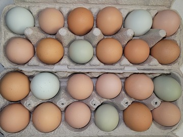 Selling with In-person Payment: Fresh Eggs - Lambertville, NJ