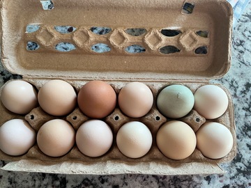Selling with In-person Payment: Farm fresh eggs $4 a dozen