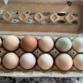 Selling with In-person Payment: Farm fresh eggs $4 a dozen
