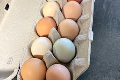 Selling with In-person Payment: Fresh farm eggs 
