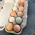 Selling with In-person Payment: Fresh farm eggs 