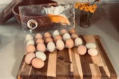 Selling with In-person Payment: Chicken Eggs