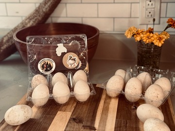 Selling with In-person Payment: Duck Eggs