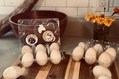 Selling with In-person Payment: Duck Eggs