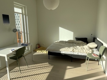 Renting out: Studio in Jätkäsaari from May-July and Sept-Oct 2026