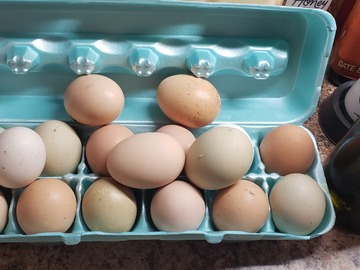 Selling with online payment: Farm Fresh free range eggs 