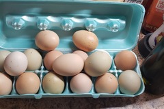 Selling with online payment: Farm Fresh free range eggs 