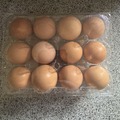 Selling with In-person Payment: Fresh farm eggs