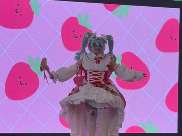 Selling with online payment: Handmade Award winning Hatsune Miku Strawberry Costume