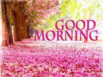 Selling: What is he thinking today? 