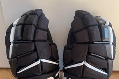 Verkaufen mit Online-Zahlungen: CCM Jetspeed FT8 Pro "13