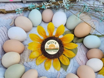 Selling with In-person Payment: Pasture Raised Farm Fresh Eggs 