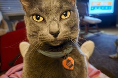   : Bianca